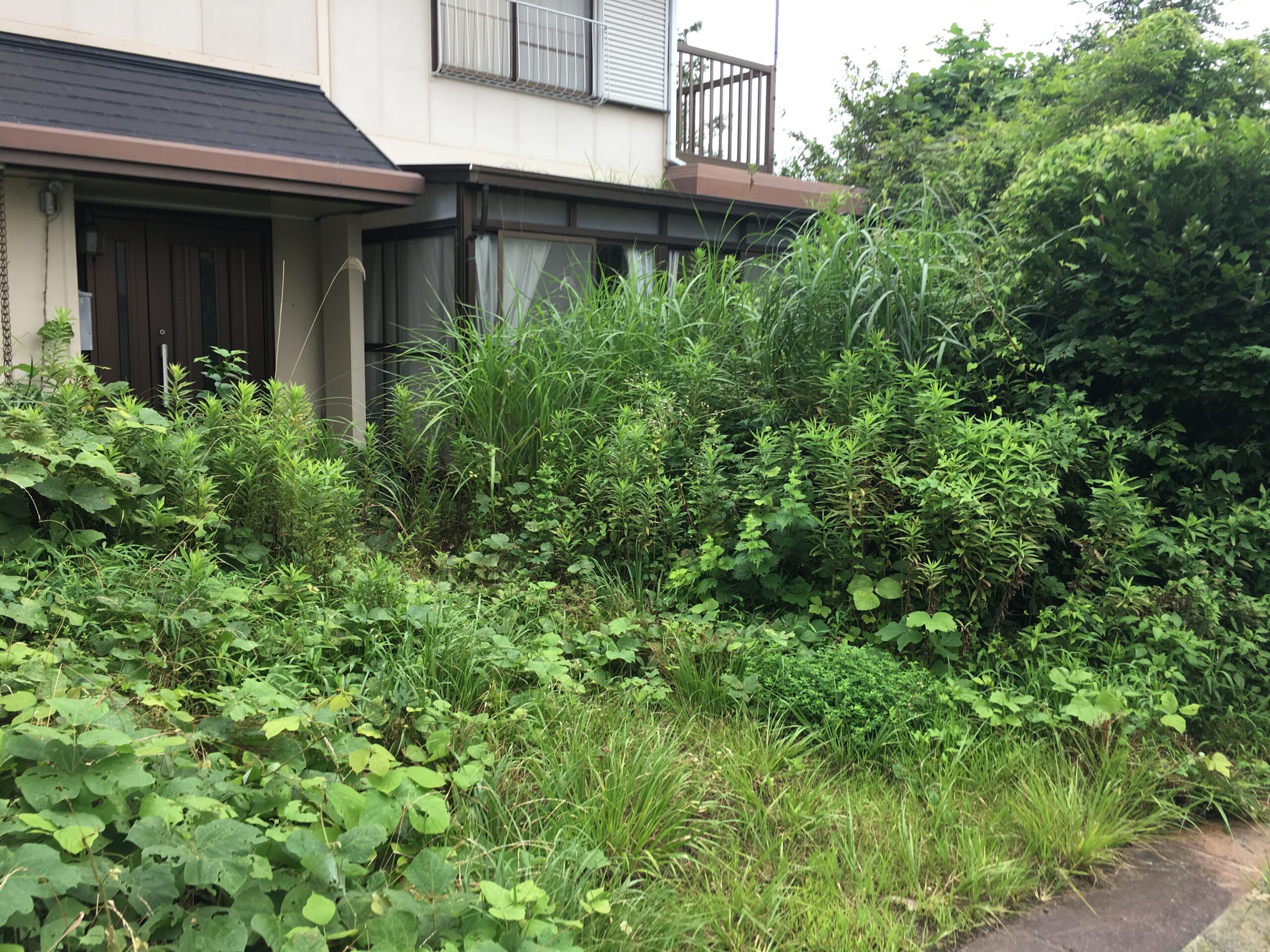 空き家狙いの侵入盗が急増  “誰も住んでいない実家” が泥棒に見抜かれる理由page-visual 空き家狙いの侵入盗が急増  “誰も住んでいない実家” が泥棒に見抜かれる理由ビジュアル